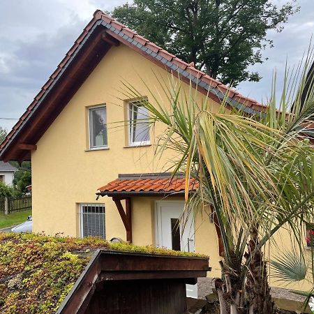 Ferienwohnung Muhlberg Seifersdorf  Exterior foto