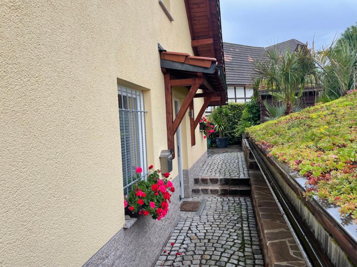 Ferienwohnung Muhlberg Seifersdorf  Exterior foto